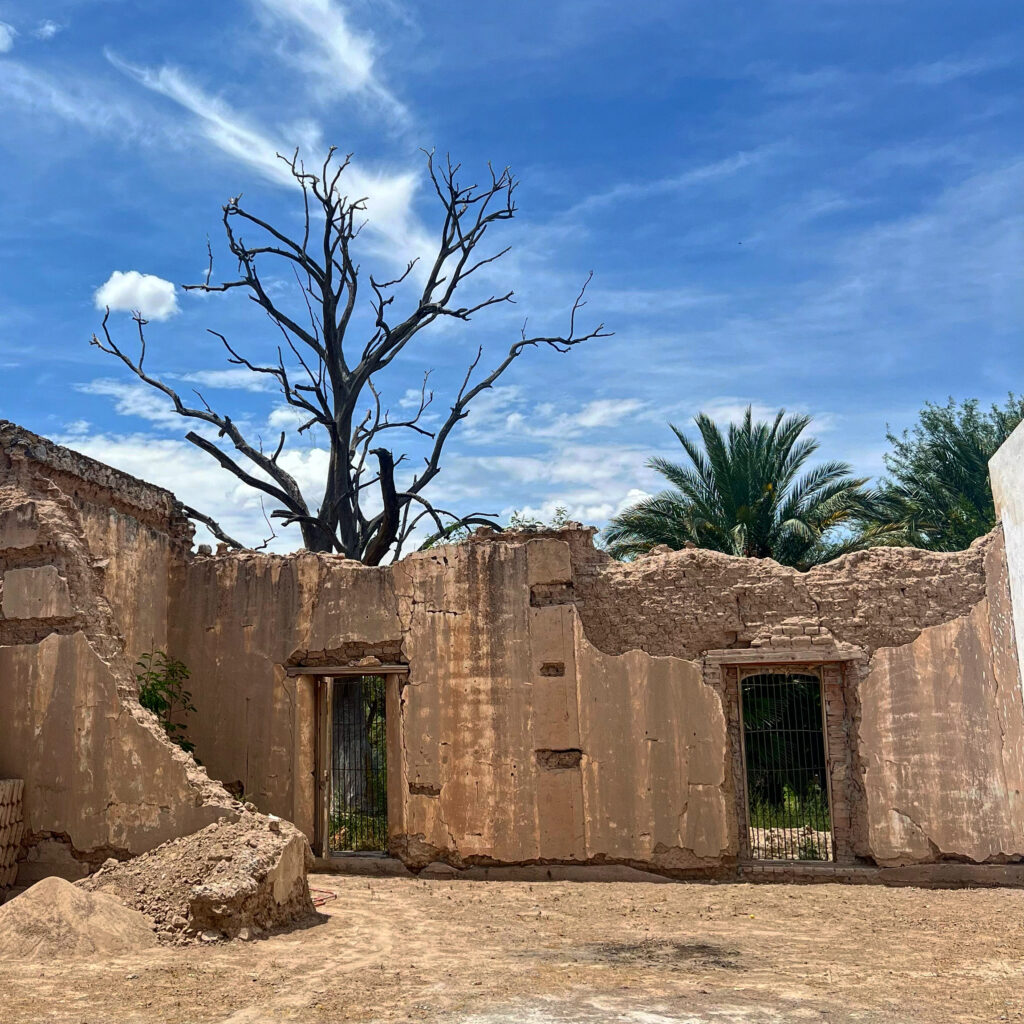 59DC2290-E502-4CD3-BD32-C34EA2211991